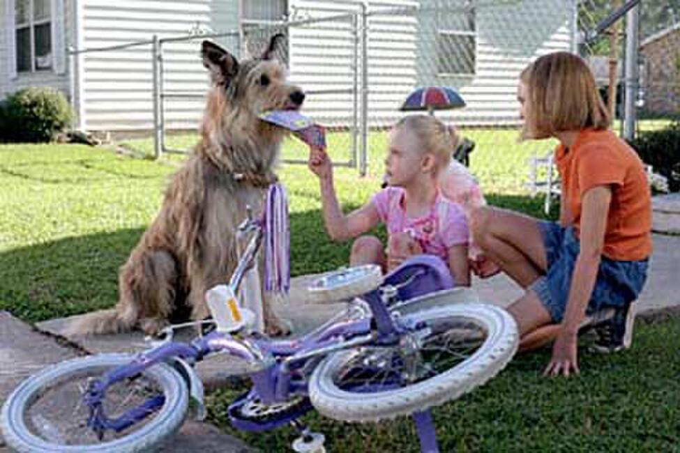 Because Of Winn Dixie 2005 Full Movie Because of Winn-Dixie (2005) Movie Photos and Stills - Fandango