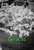 Grass (2019)