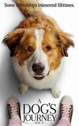 New Movies In Theaters Now Recent Releases Fandango