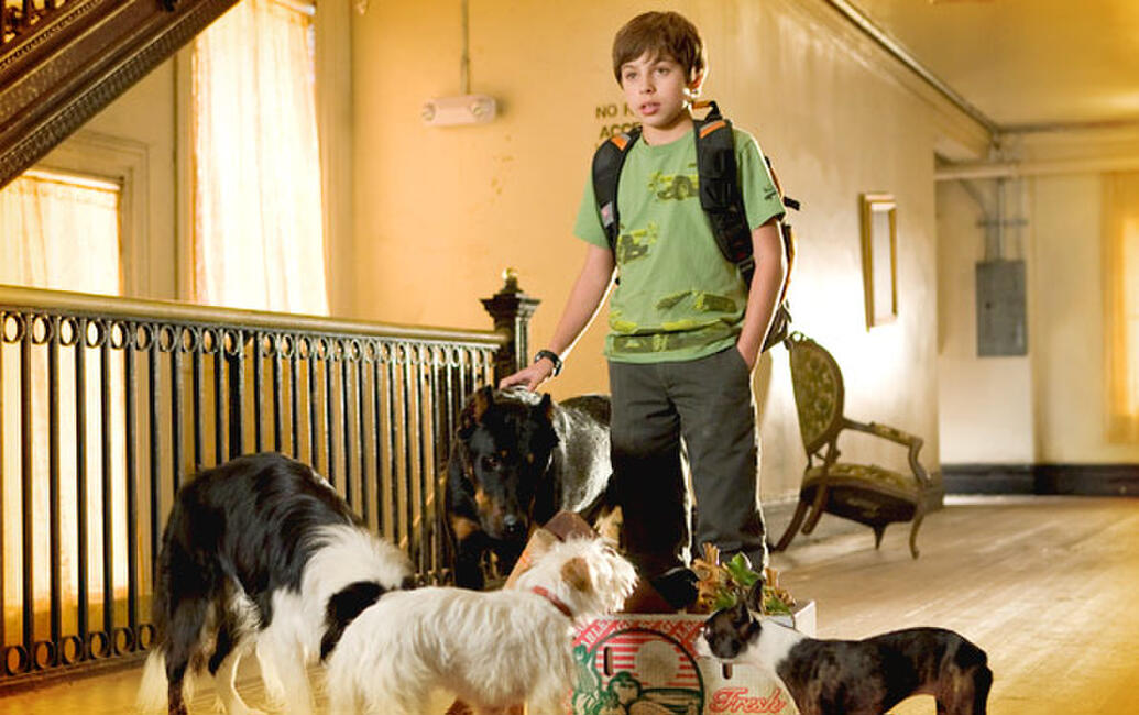 Hotel for Dogs (2009) Movie Photos and Stills Fandango