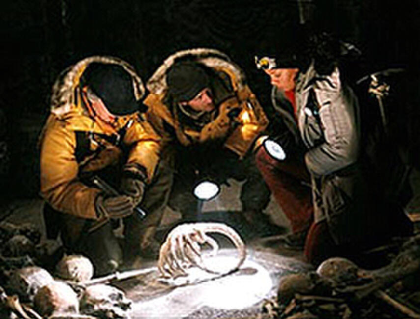 Alien Vs Predator 2004 Movie Photos And Stills Fandango