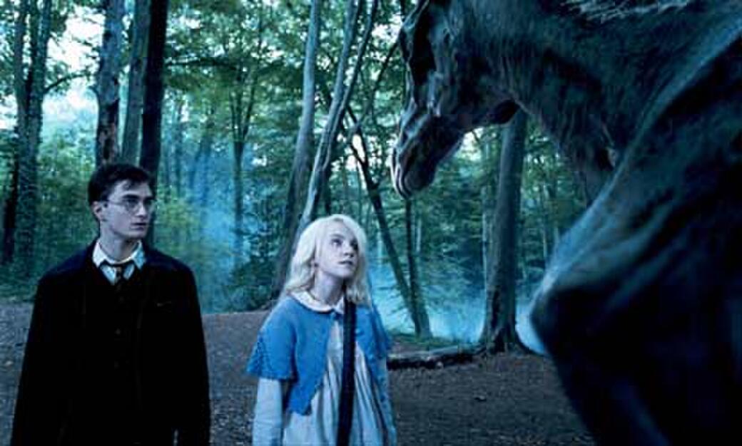 Harry Potter And The Order Of The Phoenix An Imax 3d Experience