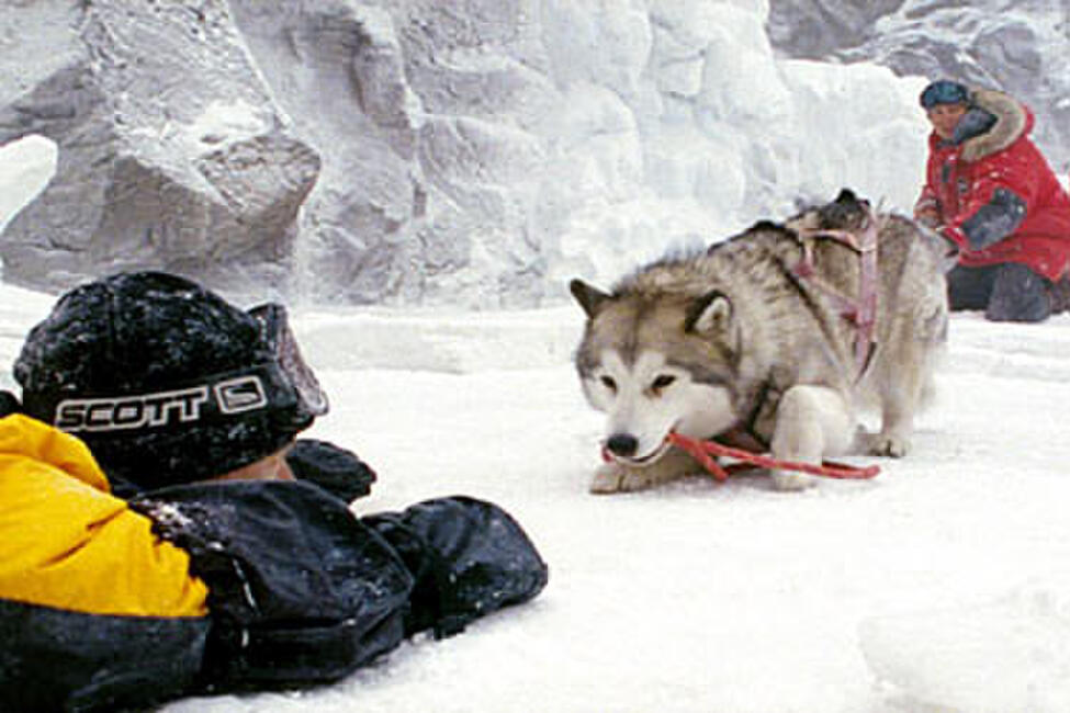 Eight Below (2006) Movie Photos and Stills Fandango