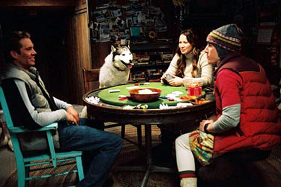 Eight Below (2006) Movie Photos and Stills Fandango