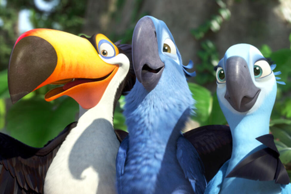Rio The Movie 2011 Movie Photos And Stills Fandango Rio The Movie 2011 Movie Photos And Stills Fandango
