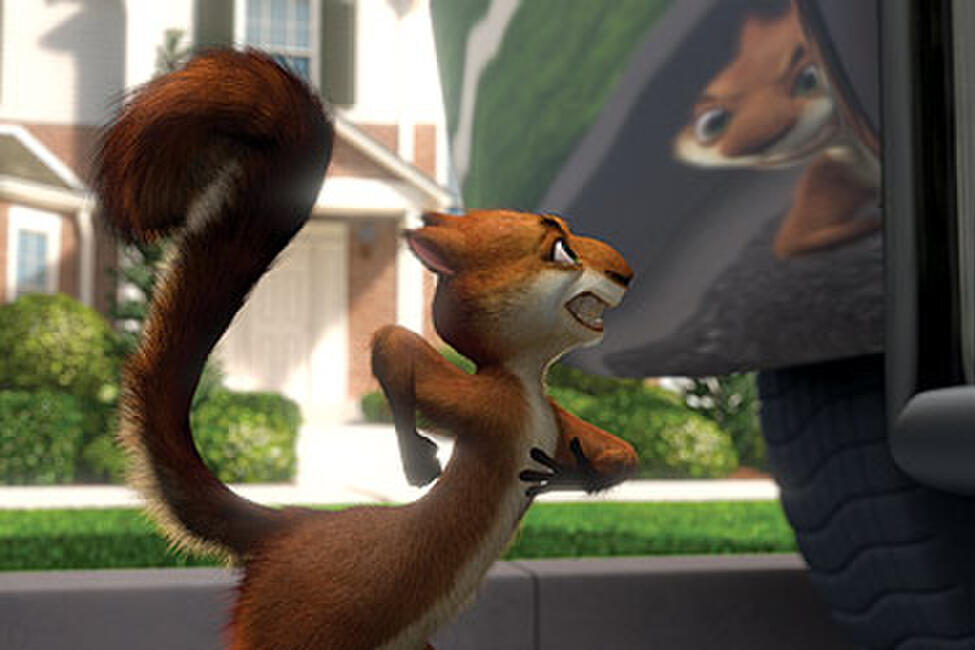 Over the Hedge by Tim Johnson Movie Photos and Stills Fandango
