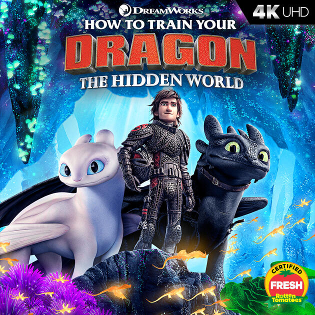 How to Train Your Dragon The Hidden World (2019) Movie