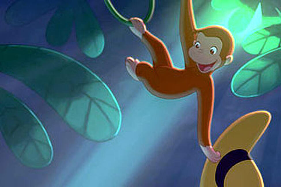 Curious Movie Photos and Stills Fandango