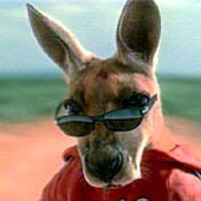 Kangaroo Jack (2003) Movie Photos and Stills Fandango